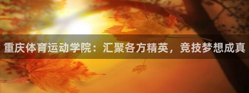 海南一竞技官网下载发展怎么样：重庆体育运动学院：汇聚
