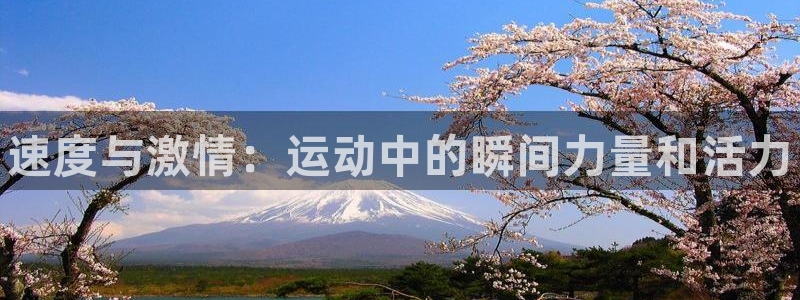 一竞技官网下载平台是正规平台吗：速度与激情：运动中的