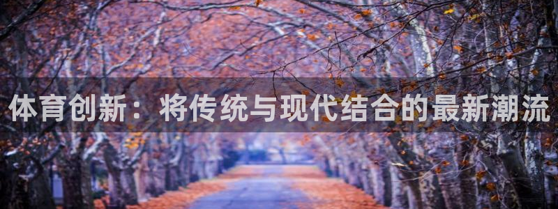 一竞技官网下载招商电话地址：体育创新：将传统与现代结