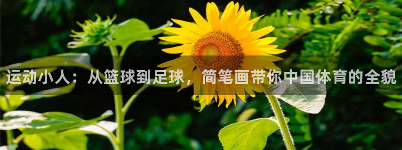 一竞技官方正版app娱乐：运动小人：从篮球到足球，简