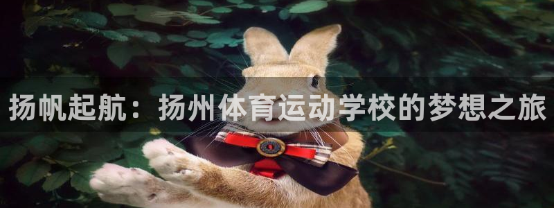 一竞技官方正版app娱乐首页官网下载：扬帆起航：扬州