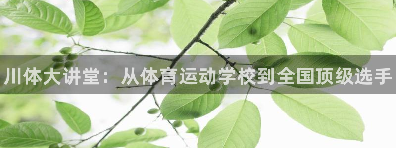 一竞技官网下载招商电话号码是多少：川体大讲堂：从体育