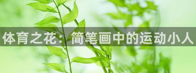 一竞技官网下载是干嘛的公司：体育之花：简笔画中的运动