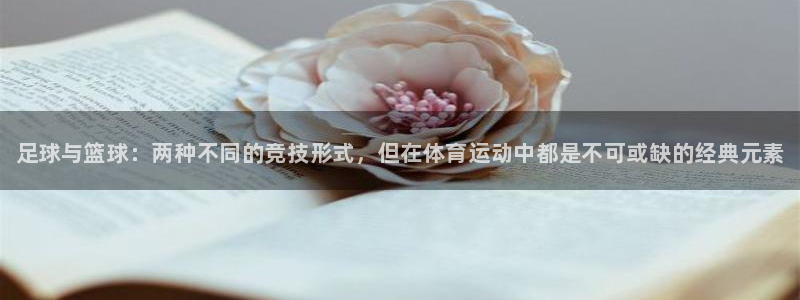 一竞技官网下载联系电话：足球与篮球：两种不同的竞技形