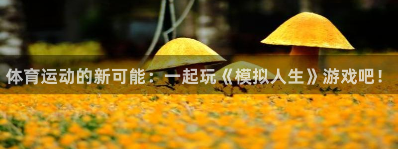 一竞技官方正版app集团：体育运动的新可能：一起玩《