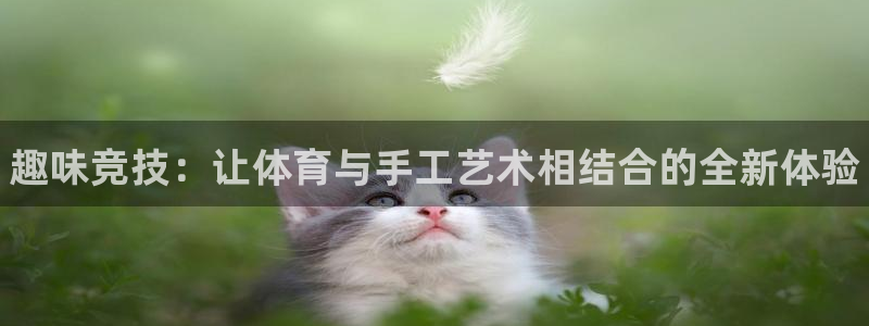 一竞技官网下载招商电话号码是多少号：趣味竞技：让体育与手工艺