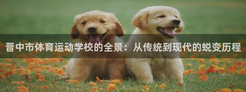 一竞技官方平台体育