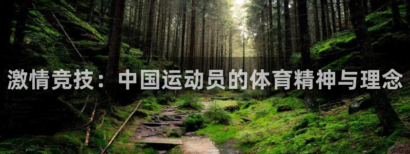 德国一竞技官方正版app集团