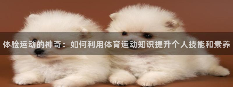 一竞技官方正版app娱乐代理怎么样：体验运动的神奇：如何利用