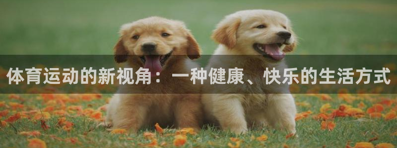 一竞技官方正版app代理