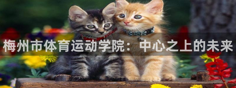 海南一竞技官网下载发展怎么样：梅州市体育运动学院：中心之上的