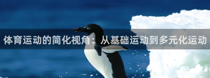 一竞技官网下载平台是正规平台吗：体育运动的简化视角：从基础运