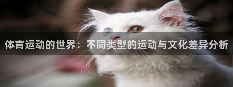 一竞技官网下载平台：体育运动的世界：不同类型的运动与文化差异