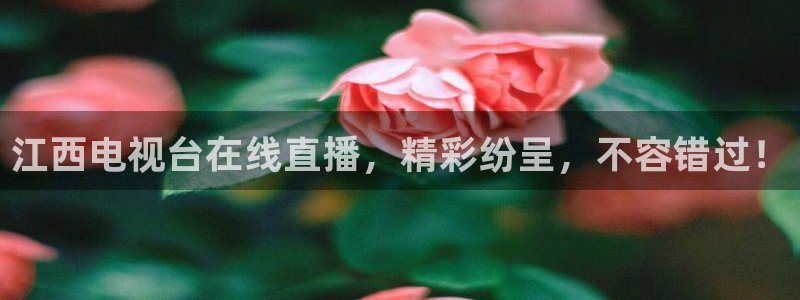 熊猫体育nba