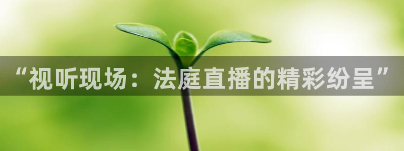 熊猫游戏直播