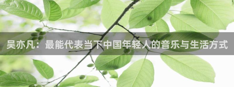 熊猫熊猫：吴亦凡：最能代表当下中国年轻人的音乐与生活方式