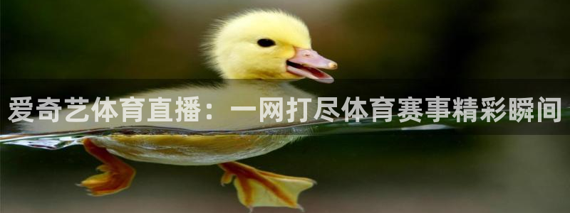 熊猫体育足球直播在线观看：爱奇艺体育直播：一网打尽体育赛事精彩瞬间