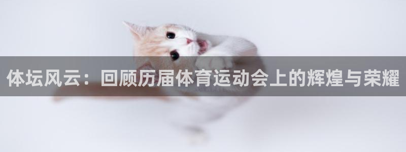 一竞技平台可以借钱吗：体坛风云：回顾历届体育运动会上的辉煌与
