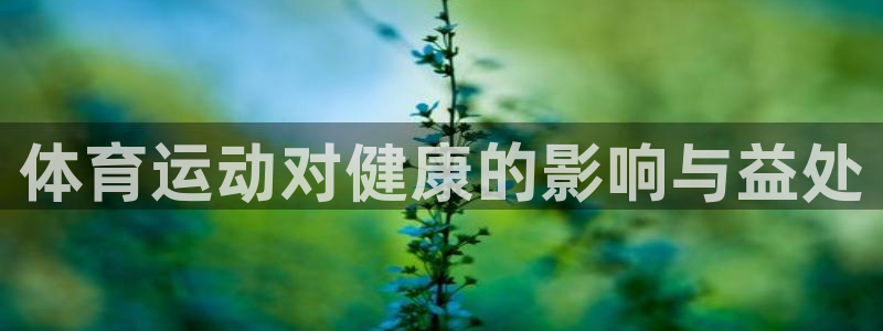 一竞技dota