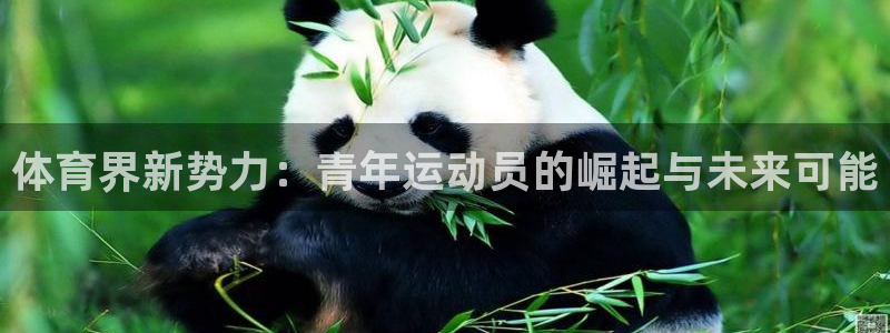 一竞技入口：体育界新势力：青年运动员