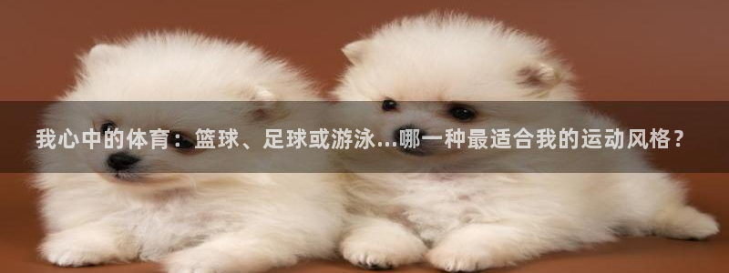 一竞技官网测试
