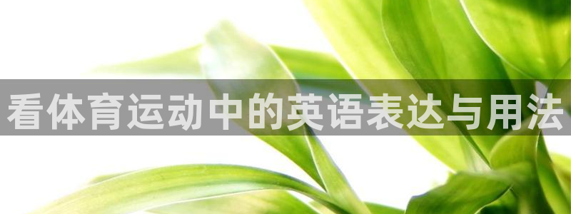 一竞技APP官方下载