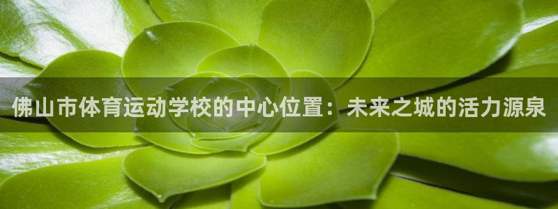 一竞技官网登录：佛山市体育运动学校的