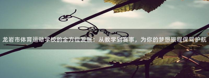 一竞技平台可以借钱吗：龙岩市体育运动
