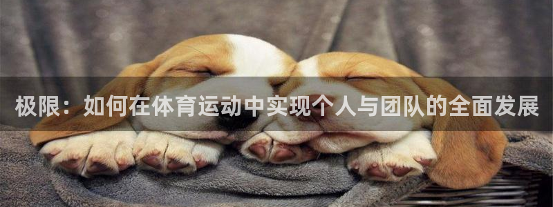 一竞技游戏登录入口：极限：如何在体育运动中实现个人与团队的全
