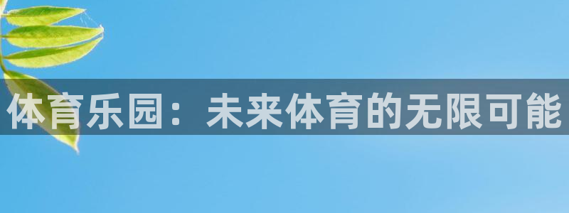 一竞技测速站网址：体育乐园：未来体育的无限可能