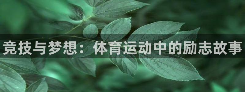  一竞技客服：竞技与梦想：体育运动中的励志故事