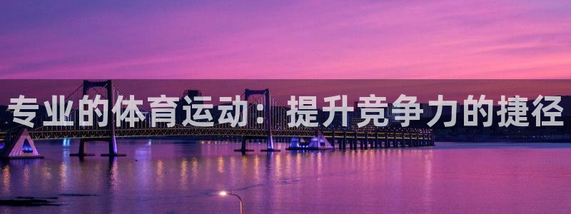 一竞技dota：专业的体育运动：提升