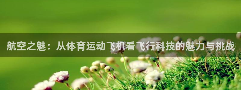 一竞技APP官方下载：航空之魅：从体