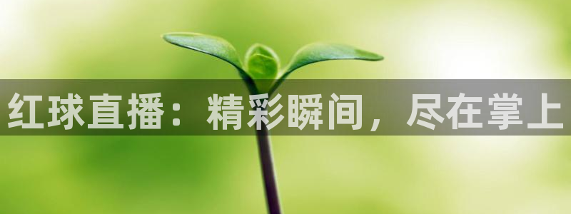 熊猫体育直播体验升级版.苹果进.org：红球直播：精彩瞬间，尽在掌上