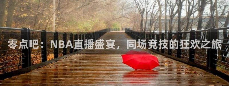 熊猫主播：零点吧：NBA直播盛宴，同场竞技的狂欢之旅