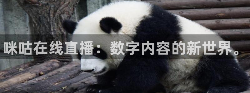 熊猫体育平台官网：咪咕在线直播：数字内容的新世界。